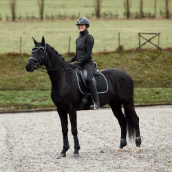 Gamaschen Adepto Horze Schwarz Gamaschen Adepto Horze Schwarz