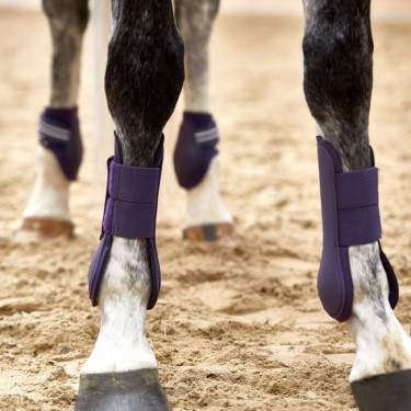 Gamaschen Adepto Horze Johannisbeere Lila