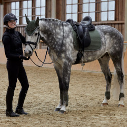 Fesselkopfschoner Adepto Horze Khakigrüner Käfer Gr&uuml;n
