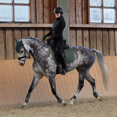 Fesselkopfschoner Adepto Horze Khakigrüner Käfer Gr&uuml;n