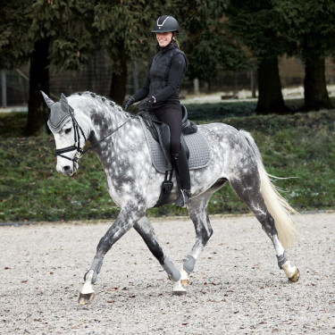 Fesselkopfschoner Adepto Horze Stahlgrau Fesselkopfschoner Adepto Horze Stahlgrau