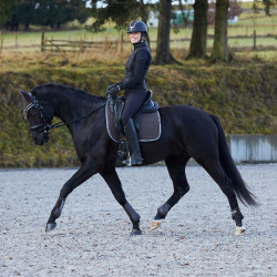 Vielseitige Schabracke Adepto Horze Dunkelbraun