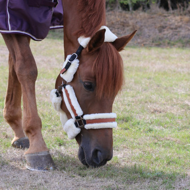 Pénélope Soft Halfter Schwarz / Beige