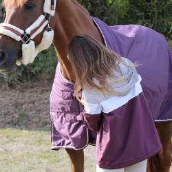 Blouson Pénélope Celecce Pflaume Lila