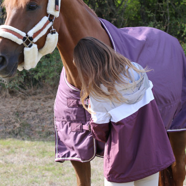 Blouson Pénélope Celecce Pflaume Lila