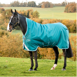 Pferdedecke Horseware High Neck Amigo® Bravo 12 Original 250g 1200D Pferdedecke Horseware High Neck Amigo® Bravo 12 Original 250g 1200D