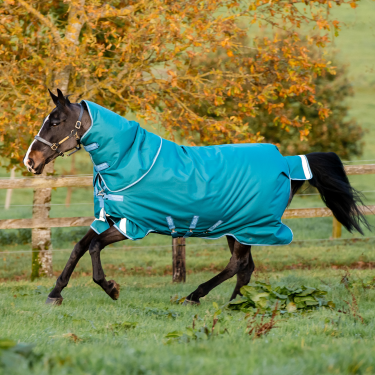 Horseware Amigo® Bravo 12 Plus 400g 1200D Decke Horseware Amigo® Bravo 12 Plus 400g 1200D Decke