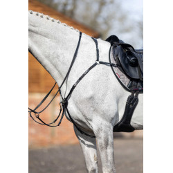 Brustblatt mit Martingal LeMieux Schwarz Brustblatt mit Martingal LeMieux Schwarz