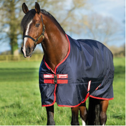 Außendecke Horseware Rambo Original 200g
