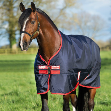 Außendecke Horseware Rambo Original 200g