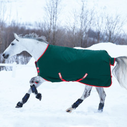 Außendecke Horseware Rambo Original 400g