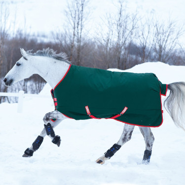 Außendecke Horseware Rambo Original 400g