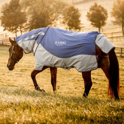 Horseware Übergangsdecke Rambo Autumn