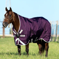 Horseware Outdoor-Decke Rambo Wug 0g 1000D Violett / Silber Lila Horseware Outdoor-Decke Rambo Wug 0g 1000D Violett / Silber Lila