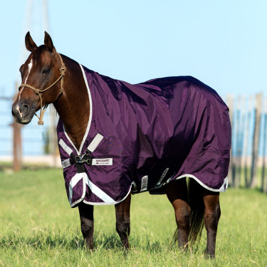 Horseware Outdoor-Decke Rambo Wug 0g 1000D Violett / Silber Lila