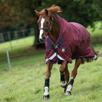 Couverture Horseware d'extérieur Rambo Wug 200g Bordeaux