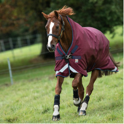 Horseware Outdoor-Decke Rambo Wug 200g