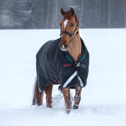 Outdoor-Decke Horseware Rambo Wug 400g