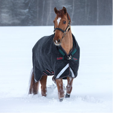 Outdoor-Decke Horseware Rambo Wug 400g