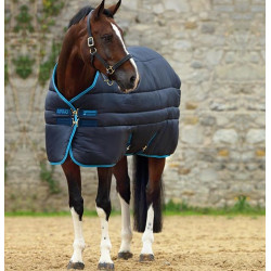 Horseware Amigo Insulator Plus Super 550g 420D Decke Marine/Elektrischblau Horseware Amigo Insulator Plus Super 550g 420D Decke Marine/Elektrischblau