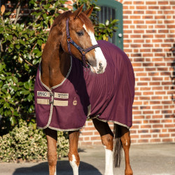 Pferdedecke Horseware Amigo Delphinium 0g