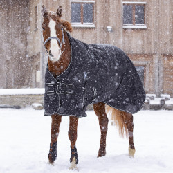 Wasserdichte Riding World Oxford Decke Wasserdichte Riding World Oxford Decke