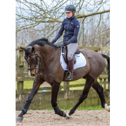 LeMieux GP Square Baumwollschabracke Altes Modell Weiß Wei&amp;amp;amp;amp;szlig;