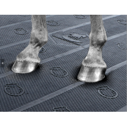 Bubble-King-Matratze