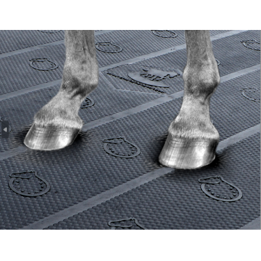 Bubble-King-Matratze