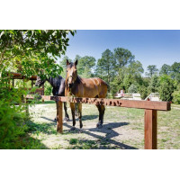 Stabilisierungsplatten...