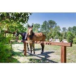 Stabilisierungsplatten Stab-Max