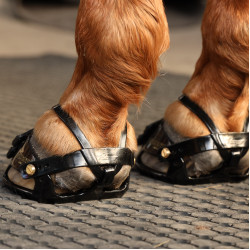 Scoot Boots Enduro Scoot Boots Enduro