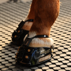 Scoot Boots Enduro Scoot Boots Enduro