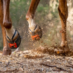 Scoot Boots Enduro Scoot Boots Enduro