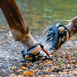 Scoot Boots Enduro Scoot Boots Enduro