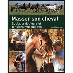 Sein Pferd massieren