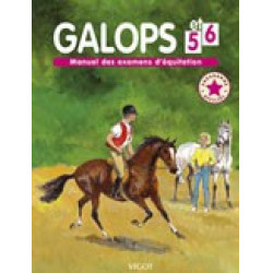 Galopp 5 und 6