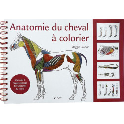 Malbuch: Anatomie des Pferdes