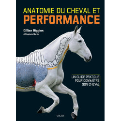 Anatomie des Pferdes & Leistung