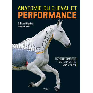Anatomie des Pferdes & Leistung
