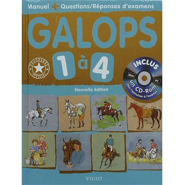 Erfolgreich die Galops 1 bis 4 bestehen Erfolgreich die Galops 1 bis 4 bestehen