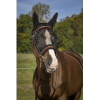 Fliegenmaske Equithème Training Altes Modell Schwarz Fliegenmaske Equithème Training Altes Modell Schwarz