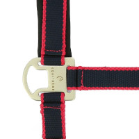 Halfter + Führstrick Equitheme Satiniert Marine / Fuchsie Blau Halfter + Führstrick Equitheme Satiniert Marine / Fuchsie Blau