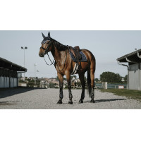 Fliegenhaube Equithème French Touch Schwarz Fliegenhaube Equithème French Touch Schwarz