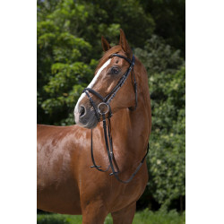 Bridon Riding World Kombinierter Nasenriemen Schwarz Bridon Riding World Kombinierter Nasenriemen Schwarz
