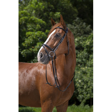 Bridon Riding World Kombinierter Nasenriemen Schwarz Bridon Riding World Kombinierter Nasenriemen Schwarz