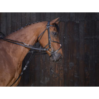 Gogue-Zügel Leder Riding World Schwarz Gogue-Zügel Leder Riding World Schwarz