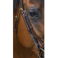 Trensenzaum Eric Thomas Pro Wave Schwarz