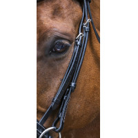 Zaumzeug Eric Thomas Pro Design Schwarz Zaumzeug Eric Thomas Pro Design Schwarz