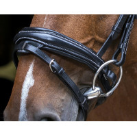 Zaumzeug Eric Thomas Pro Design Schwarz